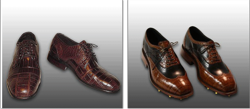 SHOES_photomerge_ALLIGATOR_.gif